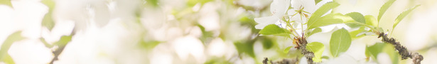 _mg_0188_show