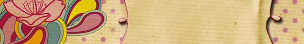 Hummingbirdbanner_show