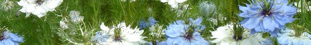 Dsc04454_show