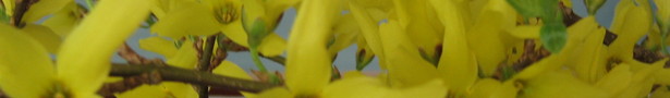 Picture_059_2__show