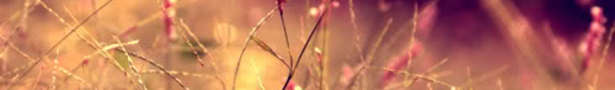 Photography9_show