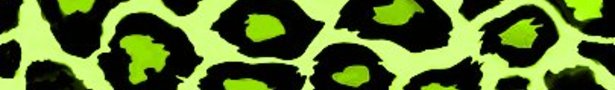 Chartruse_leopard_print_show