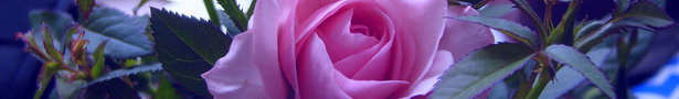 S7000028_show