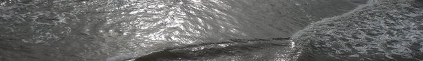 Dsc02753_show