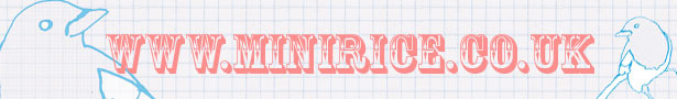 Minirice_banner_show