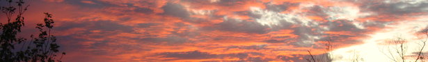 Dsc00002_show