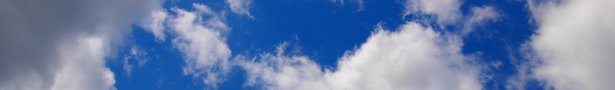 P4301318_show