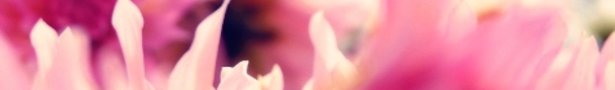 Banner2_show