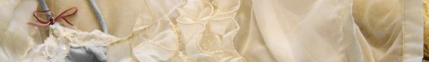 Banner_show