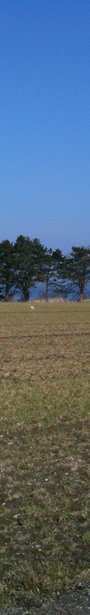 Img_0184_show