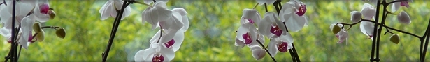 P1060302__show