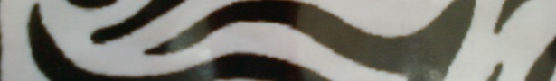 Photo0005_show