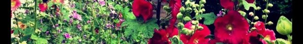 Img_0474_1__show