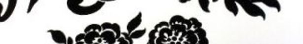 Bk32031-blkwht_show