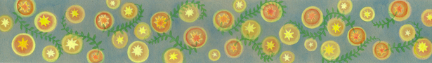 Star_header_show