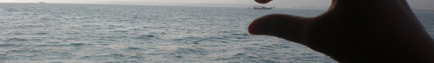 P7301738_show
