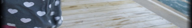 Header3_show