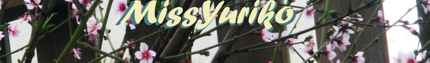 Banner_show
