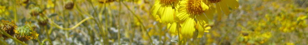 Img_3521_show