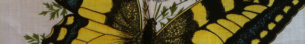 Butterfly_show