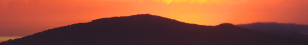 Banner_show