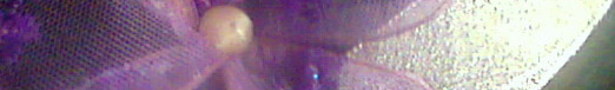 Image076_show