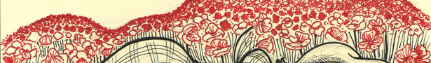Poppyfield_show