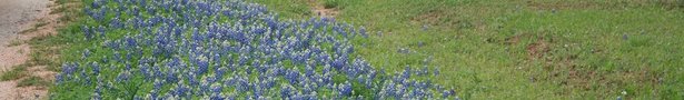 Img_7959_show