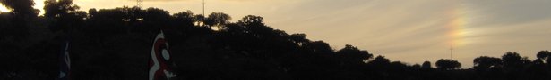 Hpim0799_show