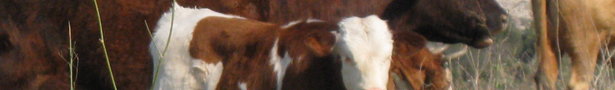 _22012011_011_show