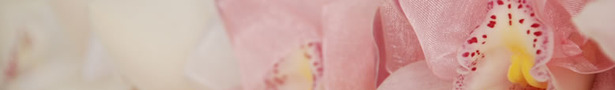 Personal_flower_banner_show