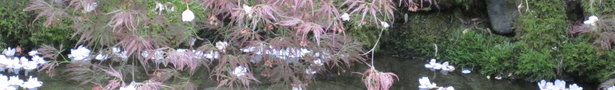Img_0159_show