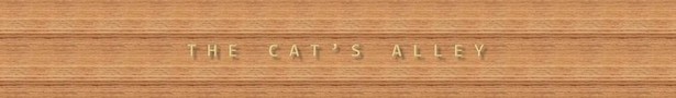 Banner3_show