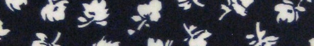 Black_floral_show
