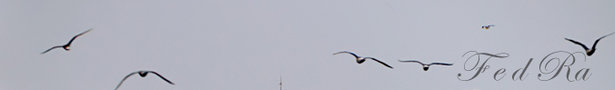39664f_show