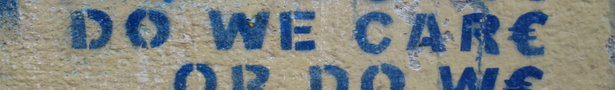 Img_0264_show