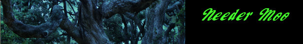Burda_banner_show