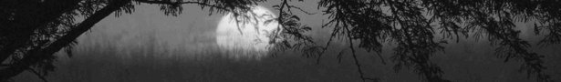 Banner_show