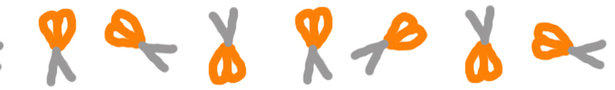 Scissors_banner_show