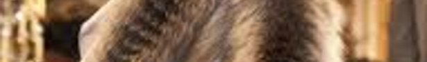 Images_74__show