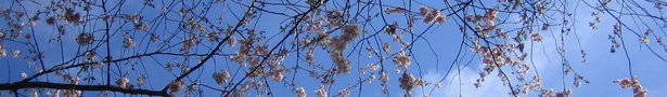 Img_0697_show
