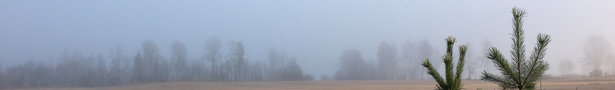 Img_0239_show