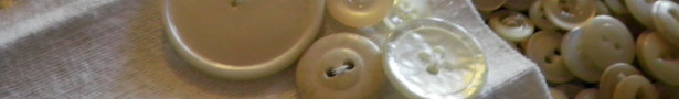 Sany0034_show