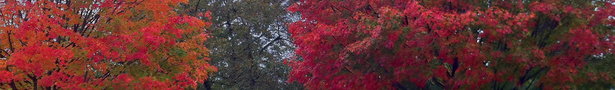 Img_2044_show