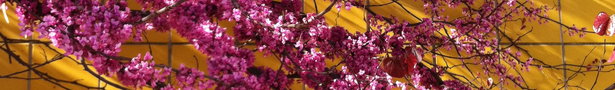 Img_1042_show