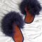 Slipper_fromabove_grid