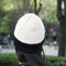 _mg_1266_grid