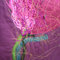 90576be4603e68dde82d5abae28bab528e92e989_grid