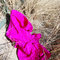 386b8b07d30bbcc0a022ad484f28c7dcc946fc23_grid