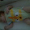 97db1d19d7ff3eb911a98d539e6a856706696183_grid